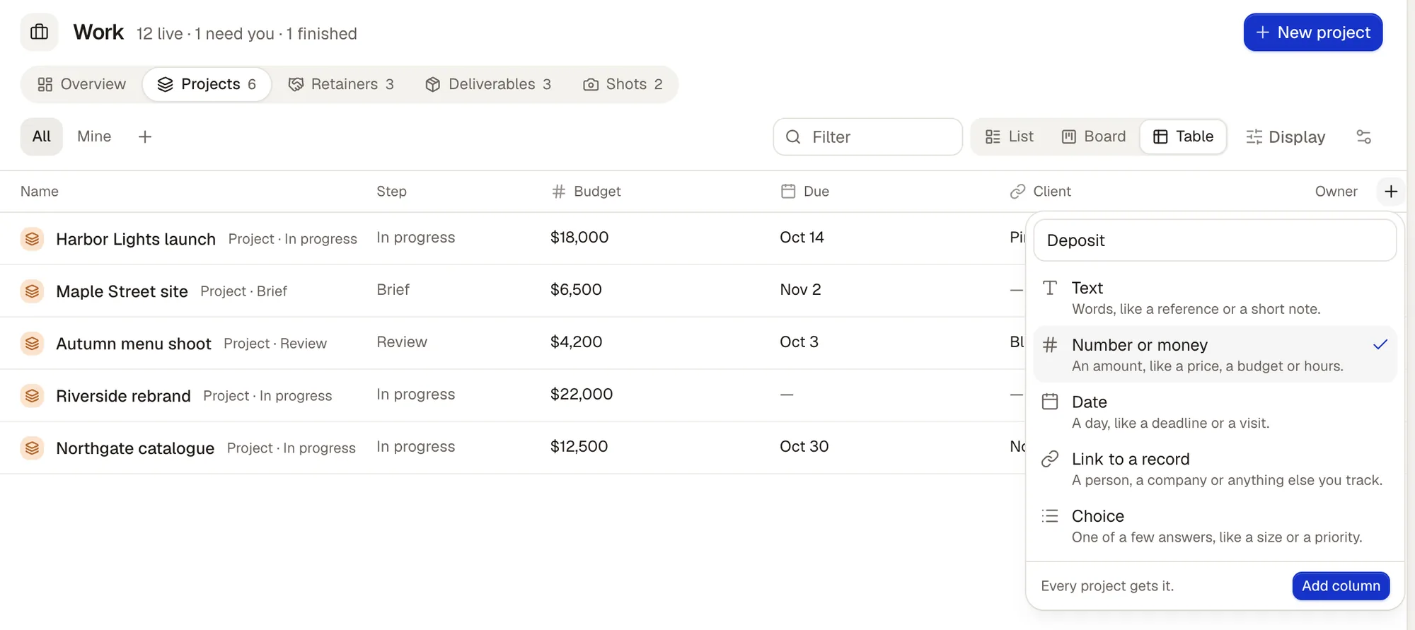 The + at the end of the projects table open: a new column named Deposit, with its kind picked from Text, Number or money (chosen), Date, Link to a record and Choice; Every project gets it, and Add column