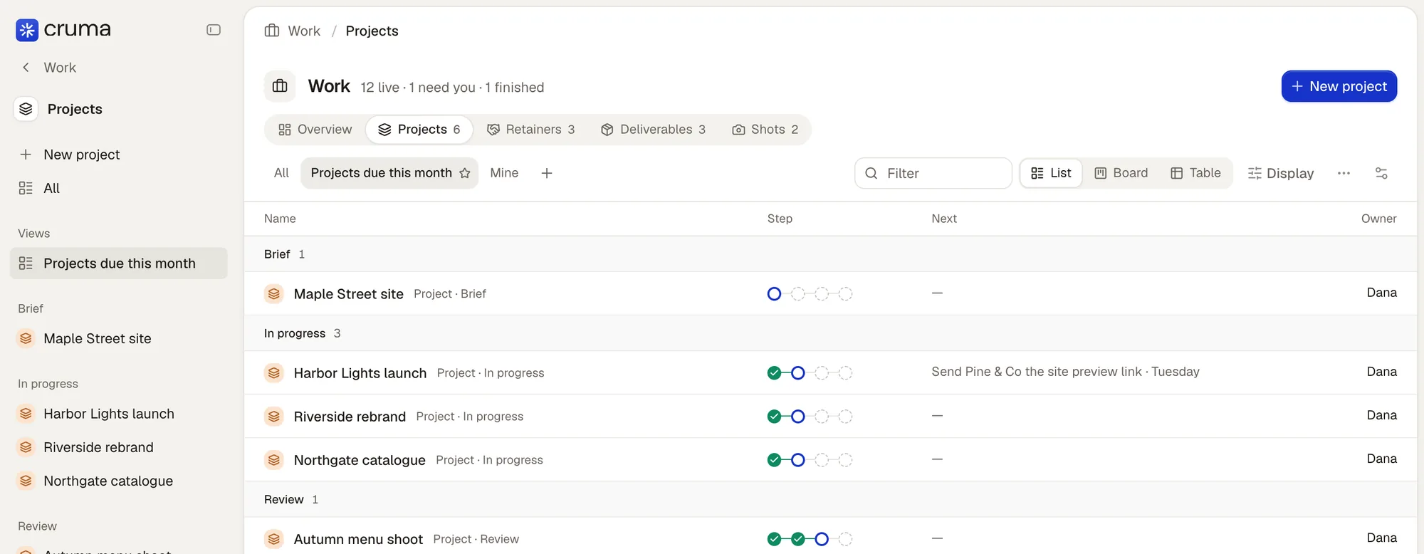 Projects with the view tabs All, Projects due this month (open, with its star), Mine and +; the sidebar shows the same view under Views, and the view shows the projects as a list grouped by step, with what's next and the owner